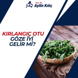 kırlangıç otu göze iyi gelir mi (2)