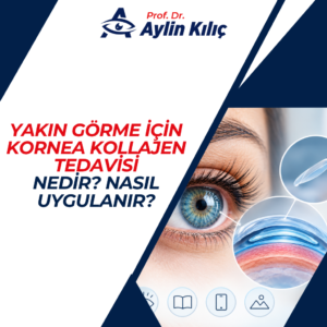 Biyolojik Kollajenle Yakın Görüş